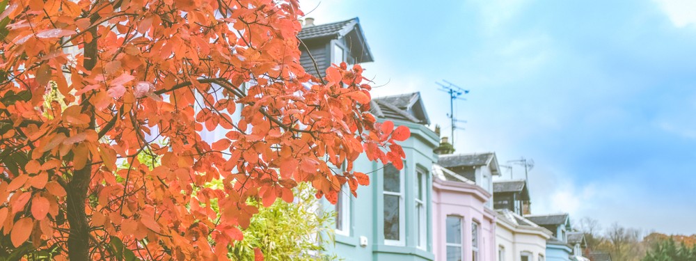 Row houses in Glasgow in autumn