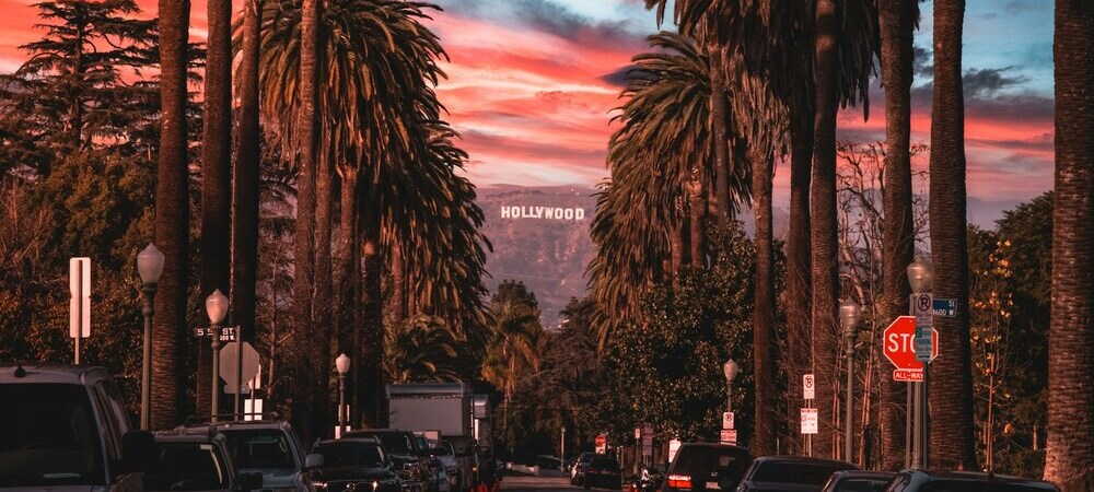 The Hollywood sign framed by palm trees in Los Angeles