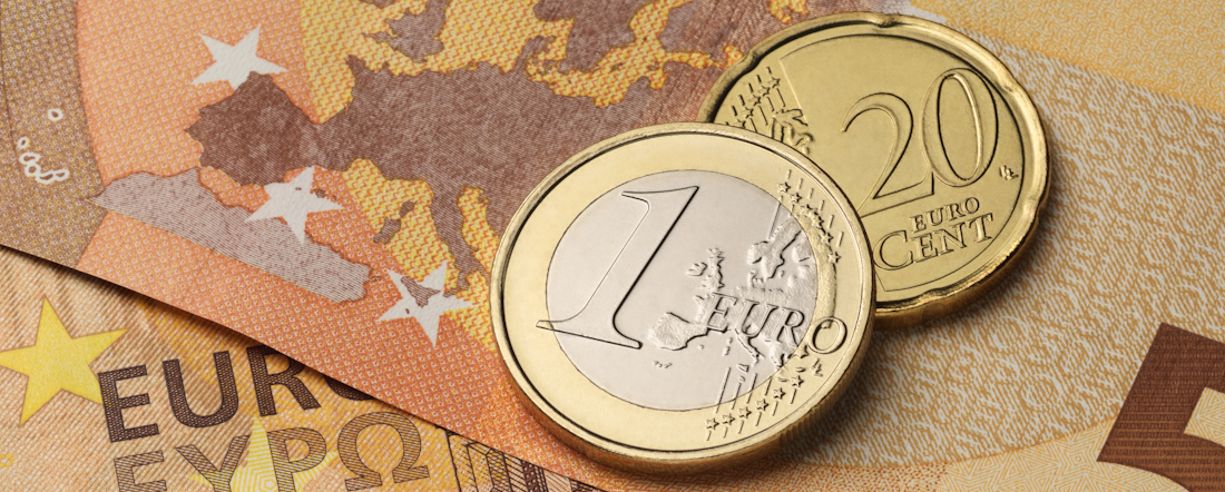 Euro coins and notes